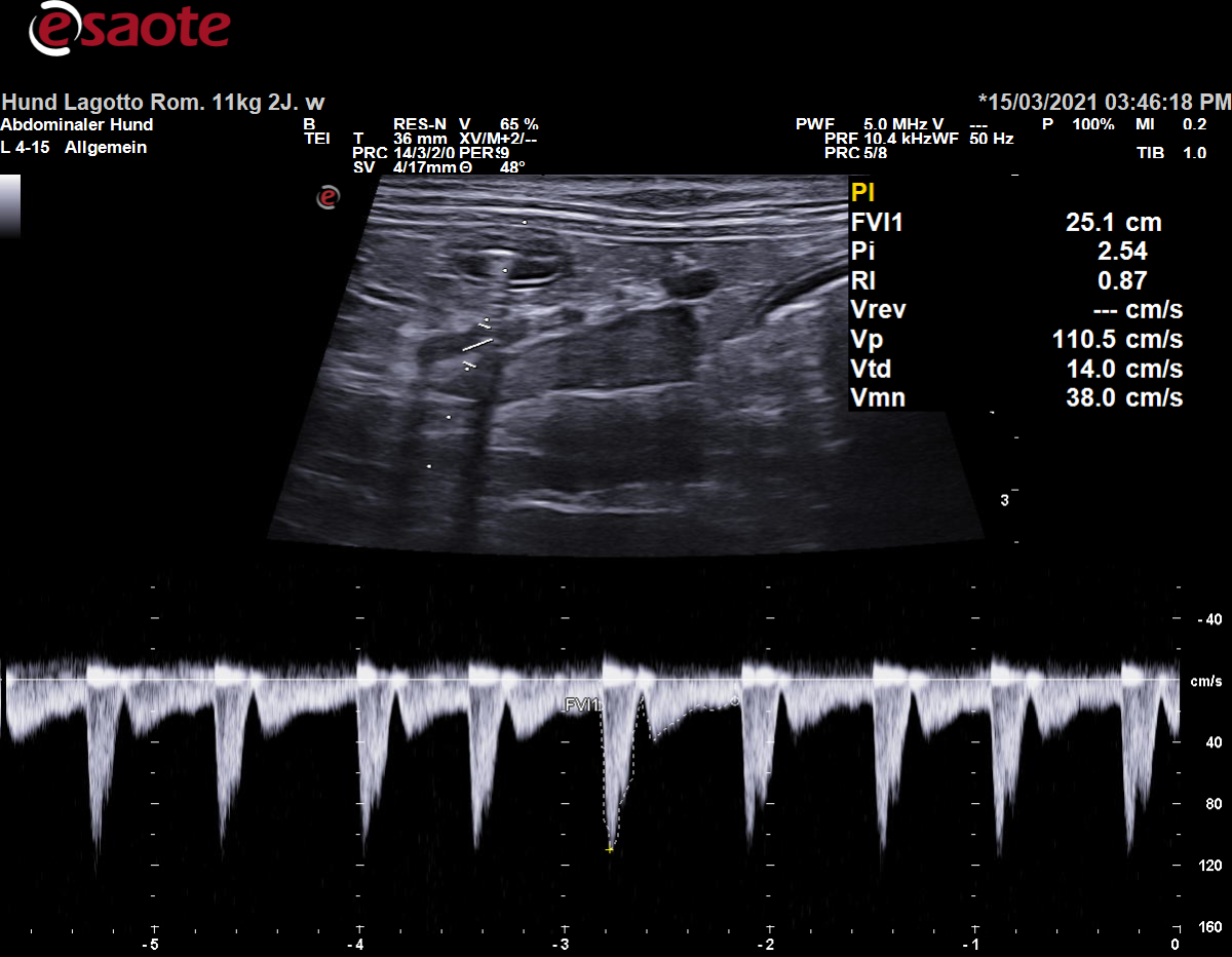 Koventionelle Duplexsonographie der Arteria mesenterica cranialis mit dem PW-Doppler und Ausmessung des PI & RI